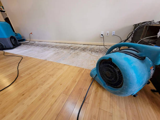 Professional Water Extraction technician working in Timber, OR